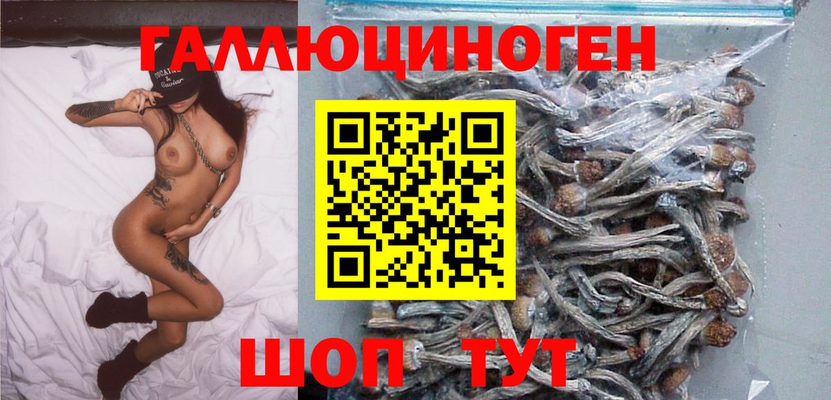 Псилоцибиновые грибы Psilocybe Удомля