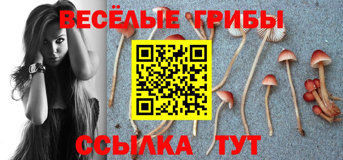 Удомля  цена наркотик  Вход с VPN  Галлюциногенные грибы Psilocybine cubensis 